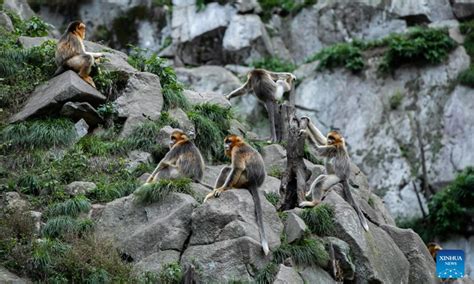 玉合公園裡的四季美景如何?